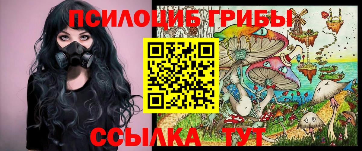 Псилоцибиновые грибы Magic Shrooms Малоярославец