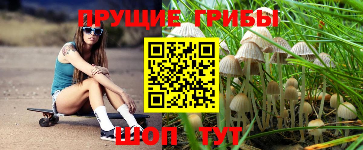 Галлюциногенные грибы Magic Shrooms  Вход с VPN  Галлюциногенные грибы Psilocybe  Малоярославец 